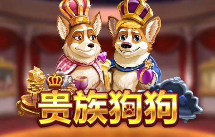 彩5彩票c5.vtp